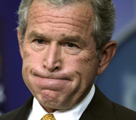 Bush Junior
