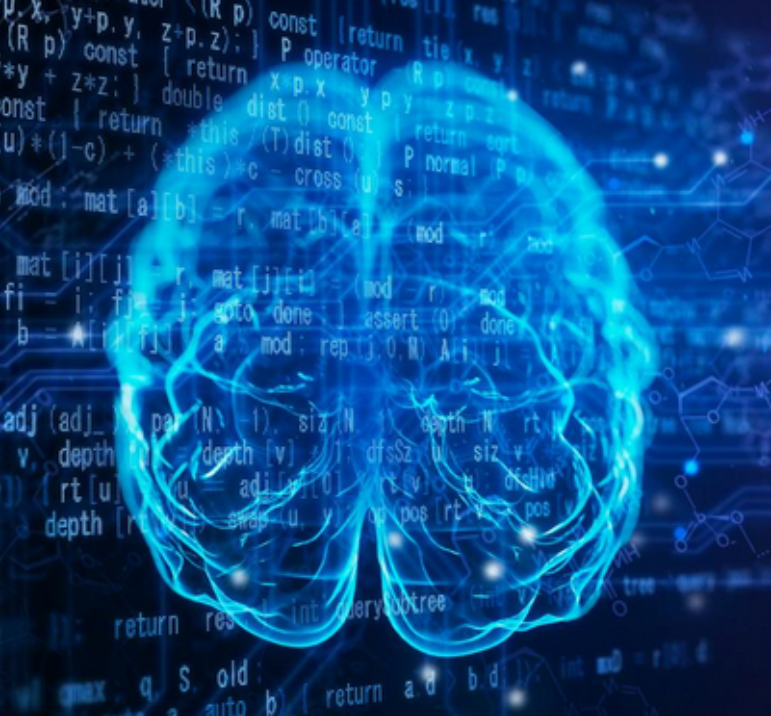 right and left brains