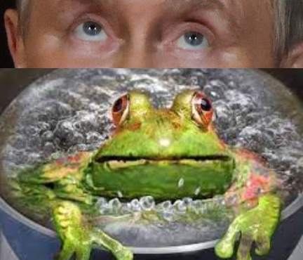 A Frog