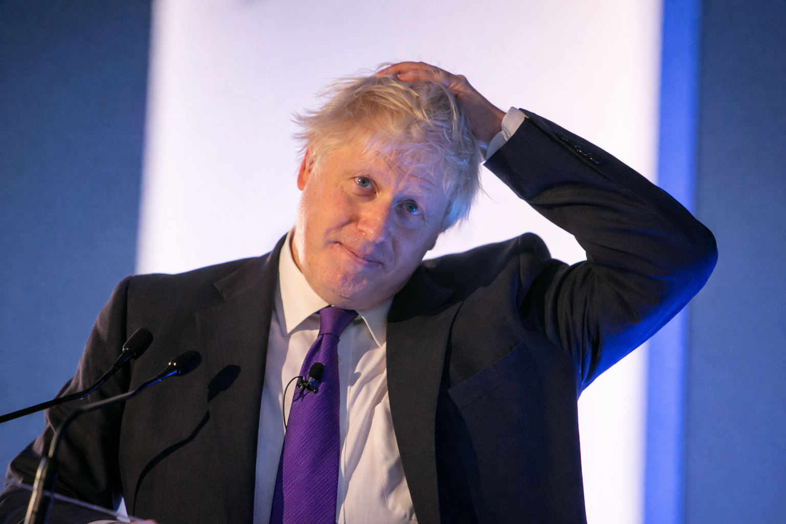 Johnson's judgement