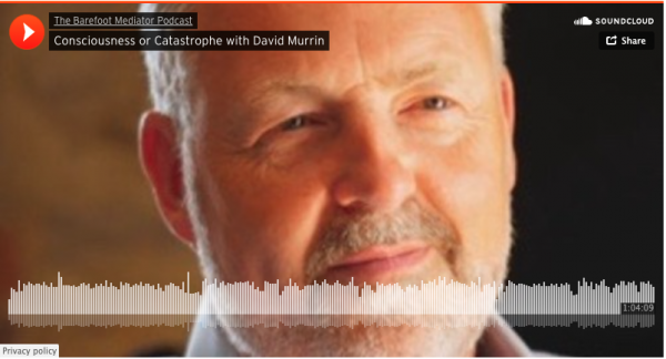 Consciousness or Catastrophe with David Murrin | David Murrin