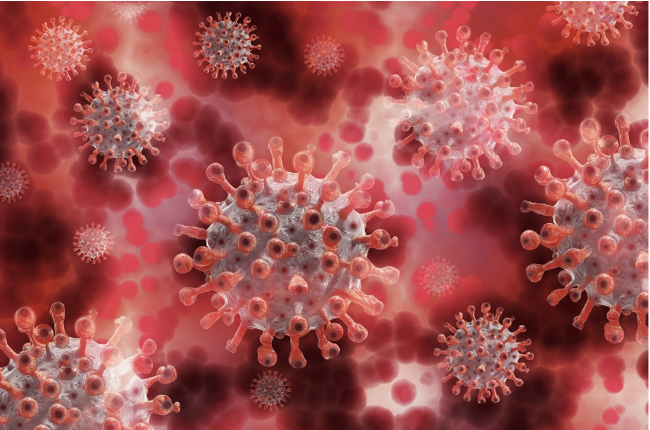 Viruses