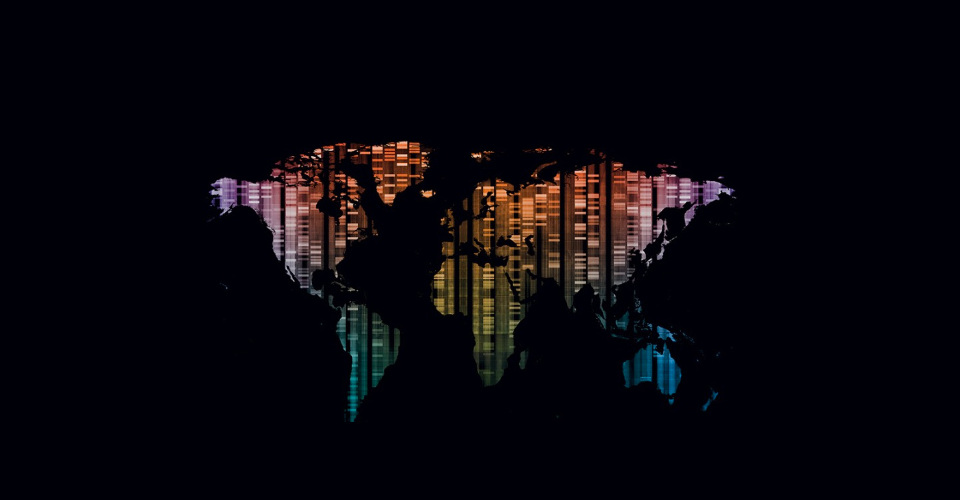 world
