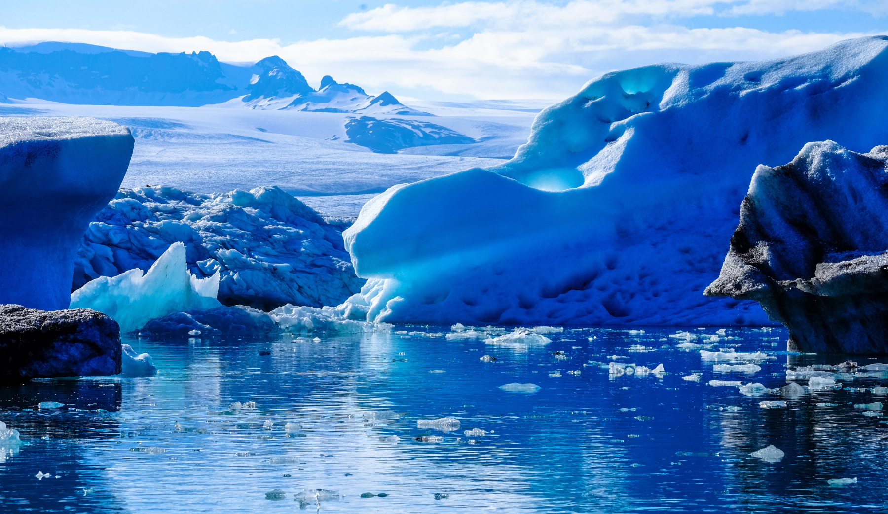 climate catastrophe