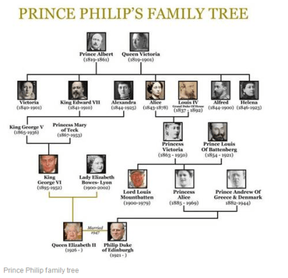 family tree.