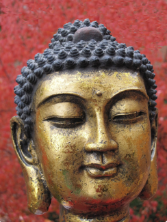 Buddha (PDM 1.0)