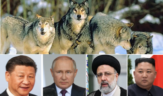 wolves